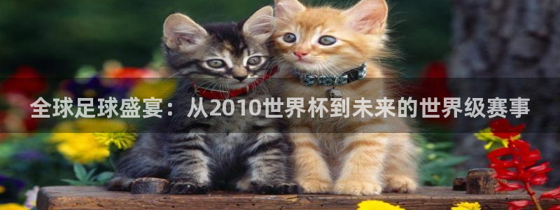 世界杯预选赛欧洲区赛程：全球足球盛宴：从2010世界杯到未来的世界级赛事