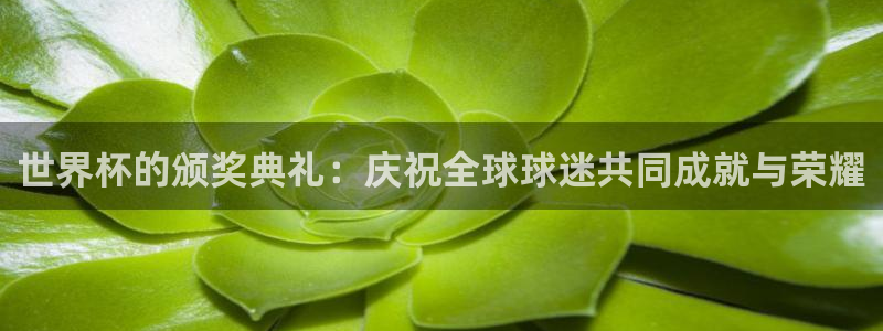 世界杯直播免费观看：世界杯的颁奖典礼：庆祝全球球迷共同成就与荣耀