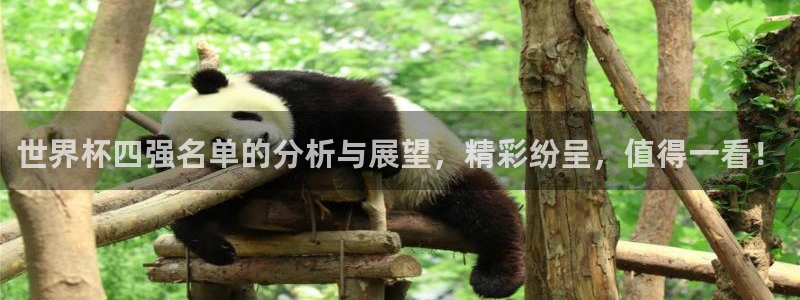 2026年世界杯赛程时间表格：世界杯四强名单的分析与展望，精彩纷呈，值得一看！