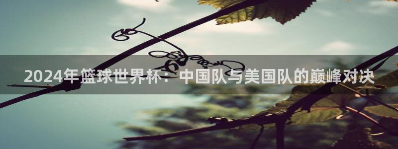 世界杯预选赛赛程时间表：2024年篮球世界杯：中国队与美国队的巅峰对决