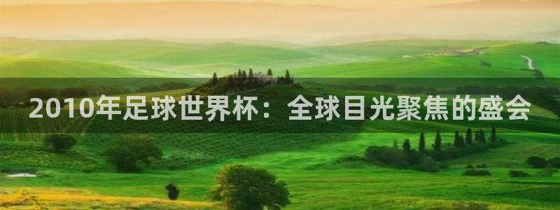 2026世界杯亚洲区预选赛：2010年足球世界杯：全球目光聚焦的盛会