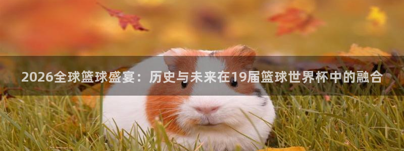 世界杯直播网站：2026全球篮球盛宴：历史与未来在19届篮球世界杯中的融合