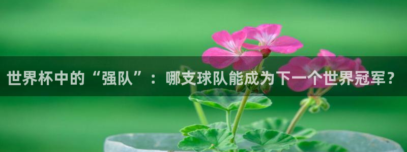 国际足联世界杯：世界杯中的“强队”：哪支球队能成为下一个世界冠军？