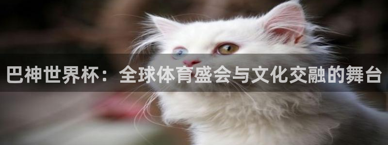 2026世界杯倒计时：巴神世界杯：全球体育盛会与文化交融的舞台