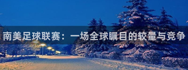 2026世界杯赛：南美足球联赛：一场全球瞩目的较量与竞争