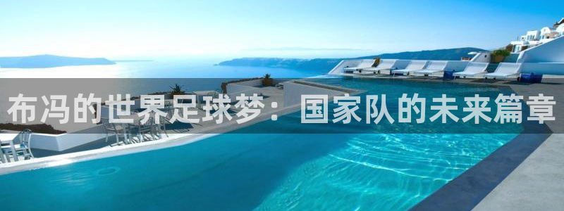 足球世界杯赛程：布冯的世界足球梦：国家队的未来篇章