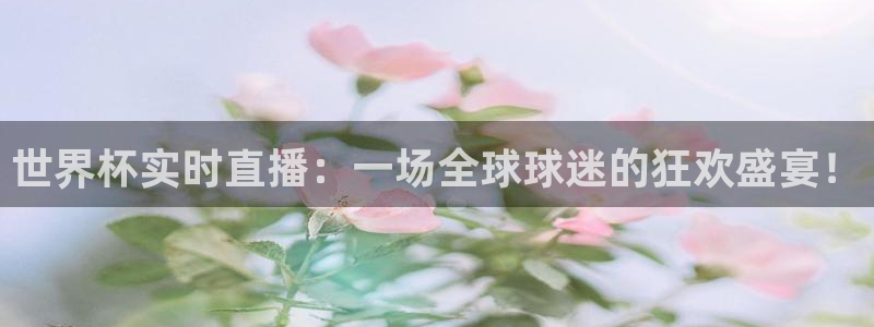2026足球世界杯赛程：世界杯实时直播：一场全球球迷的狂欢盛宴！