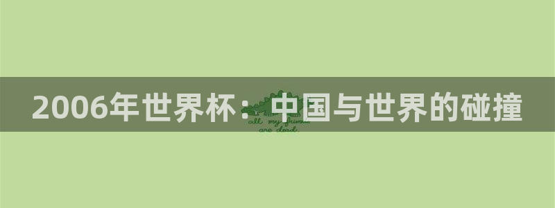 2026年男足世界杯：2006年世界杯：中国与世界的碰撞