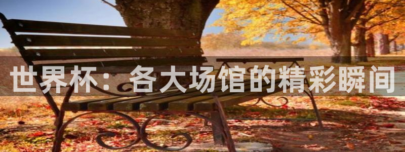 2026世界杯亚洲预选赛：世界杯：各大场馆的精彩瞬间