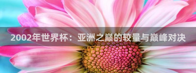 今年的世界杯：2002年世界杯：亚洲之巅的较量与巅峰对决